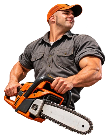 Chainsaw-wielding tree removal pro in Palm Coast, FL
